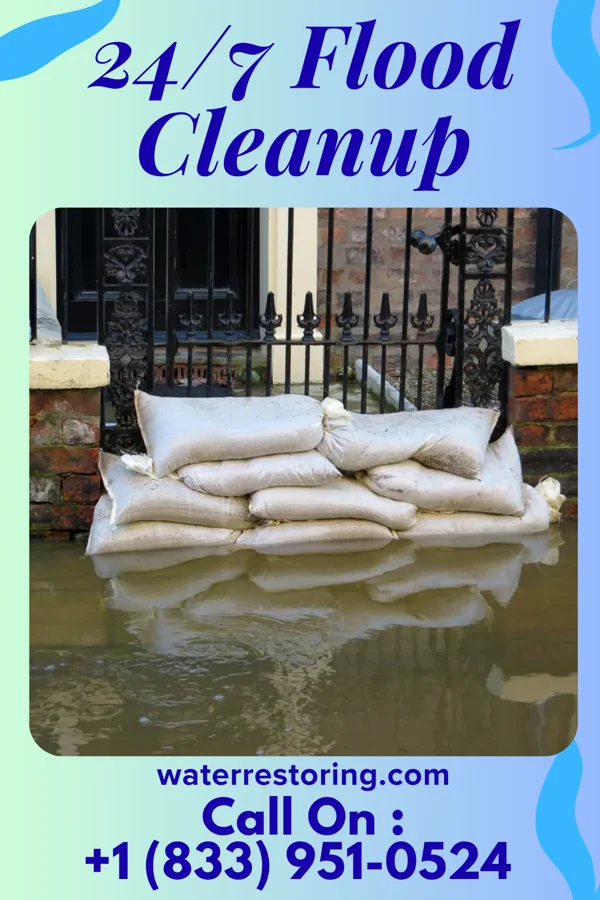 24/7 Flood Cleanup in Dasher, GA