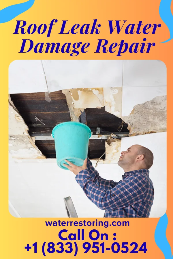 Roof Leak Water Damage Repair in Dasher, GA